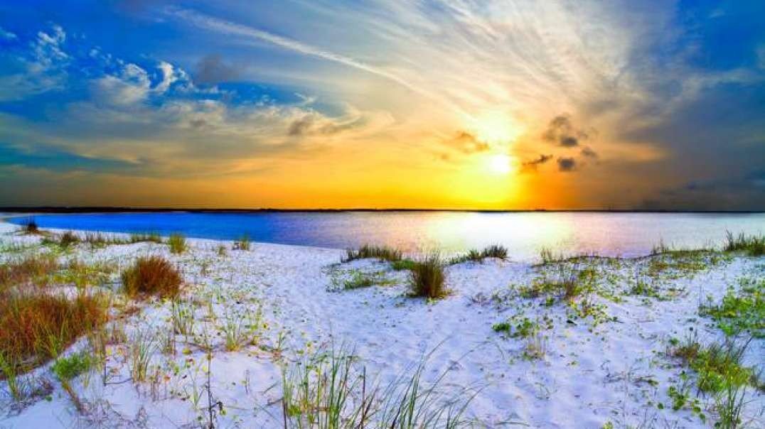 Tamil whatsapp status love songs priyas editz