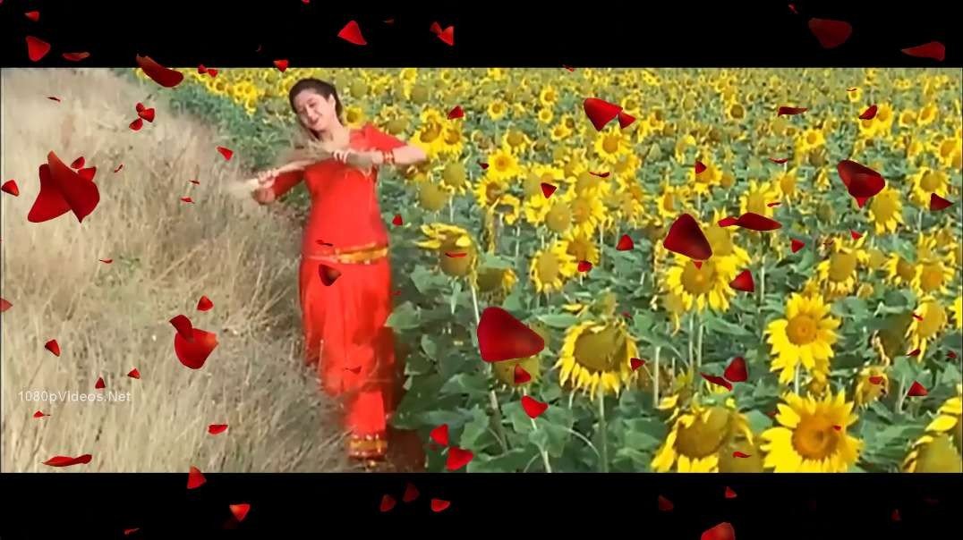 ⁣Adi aasa machan vaangi thantha malligapoo Whatsapp Status Videos || Whatsapp Status Videos Download