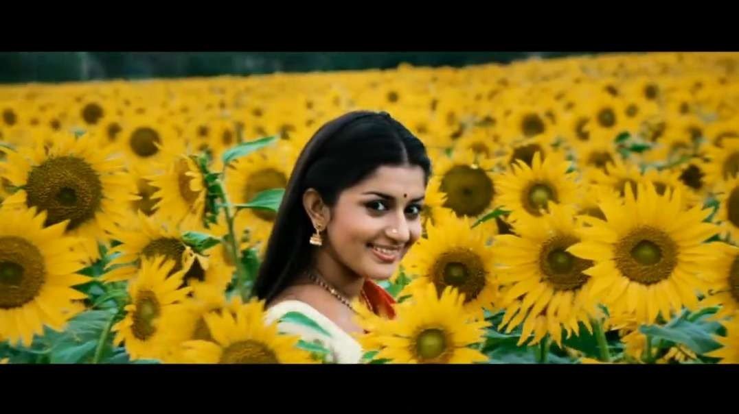 Chinna Ponnu Selai Tamil Status Video Songs Download