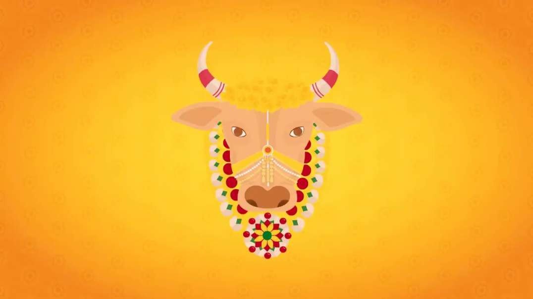 Pongal Tamil Status Video Songs Download || Thai pongalum vanthathu baalum ponguthu