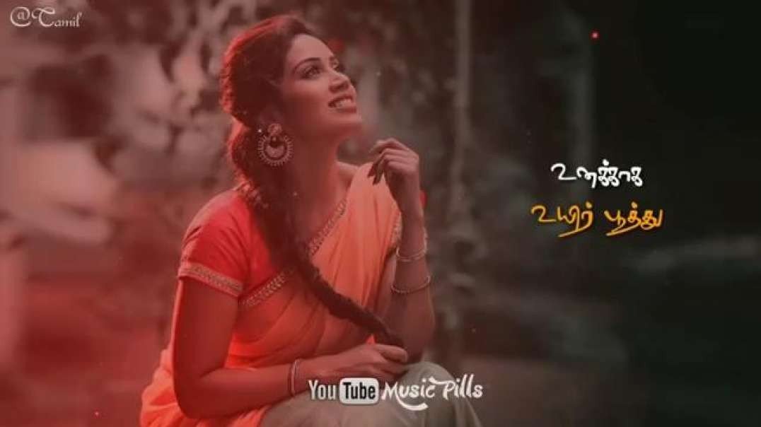 Sotta Sotta Naiuthu Taj Mahal || Tamil Status Video Download