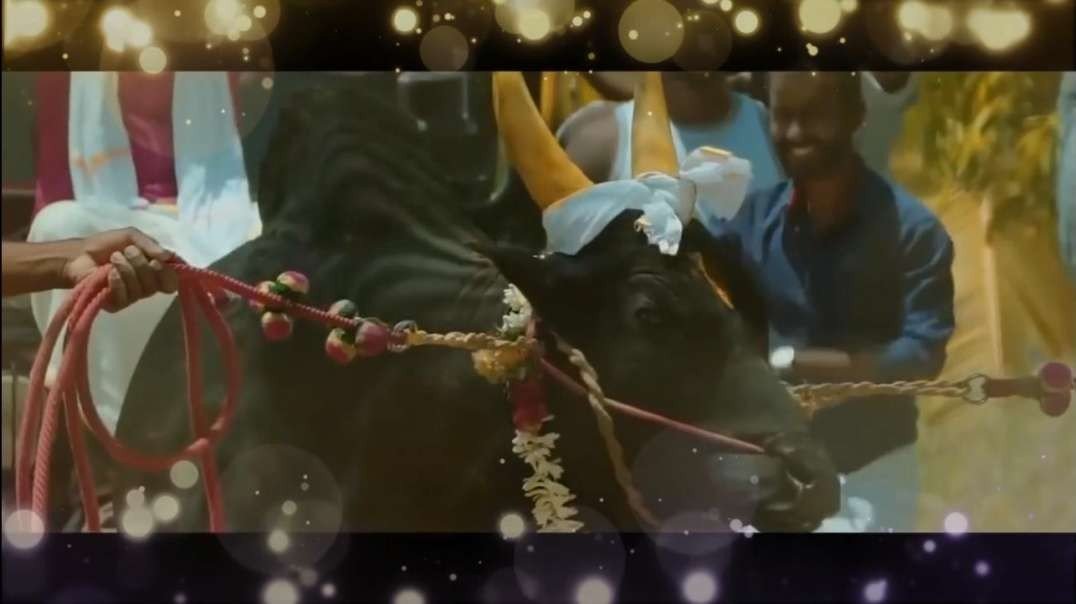 Mattu pongal gethu status Takkaru takkaru hip Hop adthi