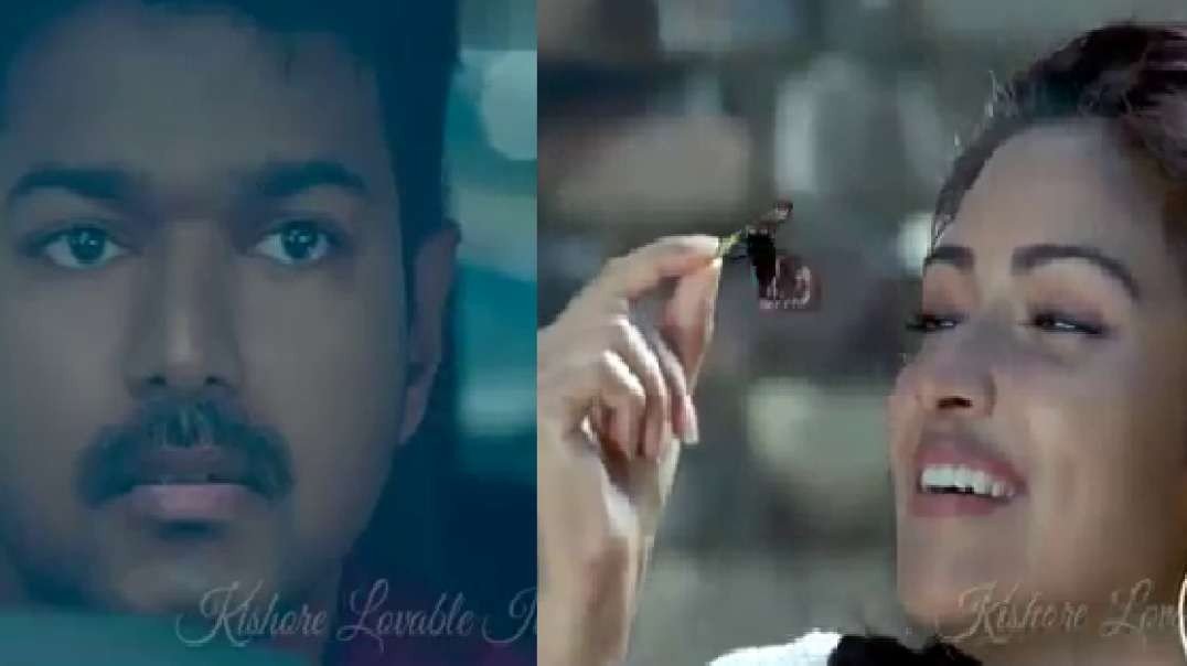 Cute Love Song _ Thalapathy Vijay Version _ Whatsapp Status Download
