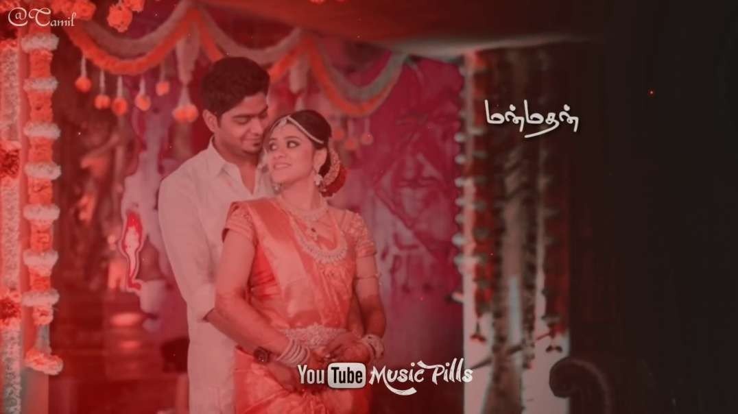 சேலையில வீடு கட்டவா | Aval Varuvaala | Tamil Love WhatsApp status
