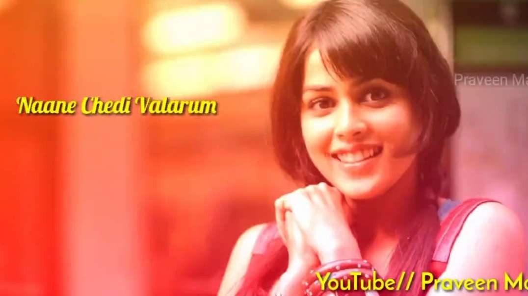 Maayam Seidhaayo Status Video Songs | Velayutham  Whatsapp Status  Cut Songs