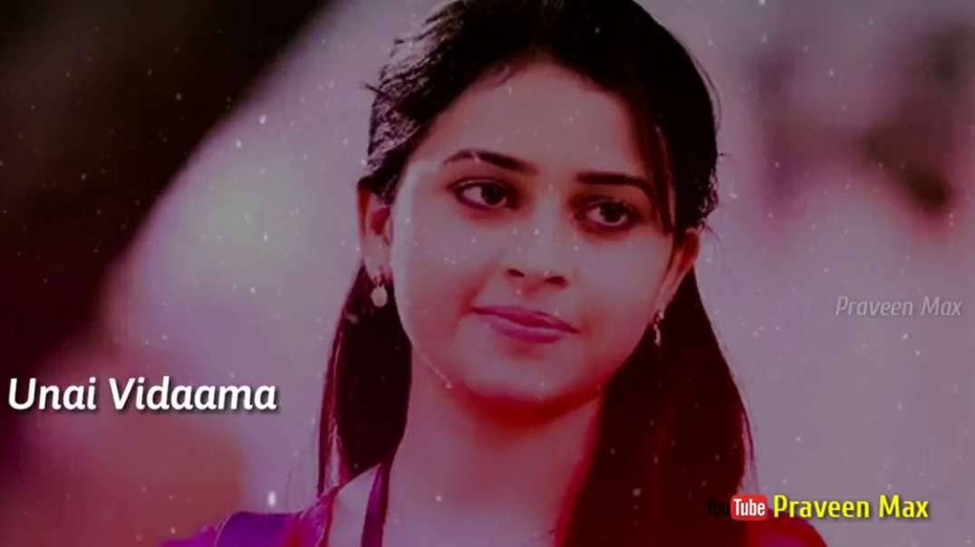 Unkuda Thunaiyaga | Maaveeran Kittu | Tamil Status Video Song | Tamil Status Video Songs Download