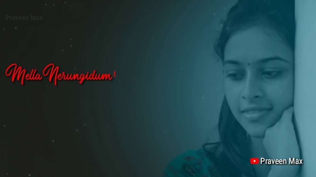 Enakku Piditha Paadal | Love Song Lyrics  |  Tamil Status Video Song | Tamil Status Video Songs Down