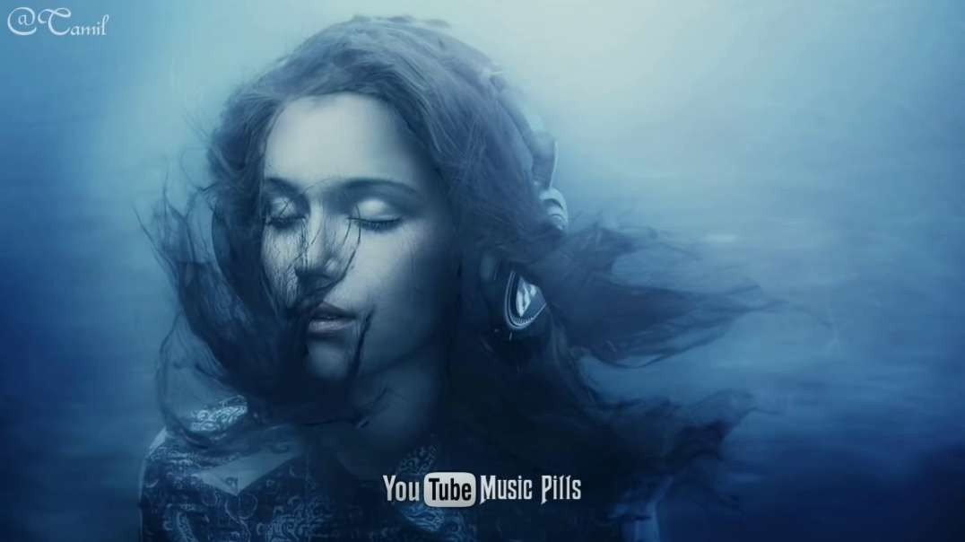 ⁣ராஜா ராணி | Raja Rani love Bgm | Tamil  Love Bgm WhatsApp status