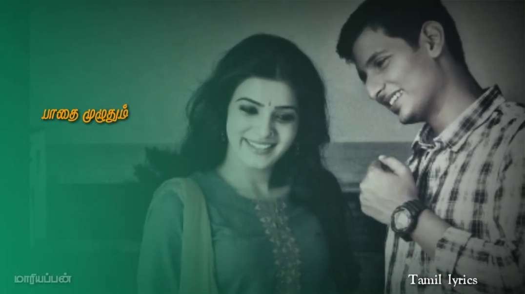 Neethane en ponvasantham tamil lyrics-Ninaivellam Nithya | tamil whatspp status video