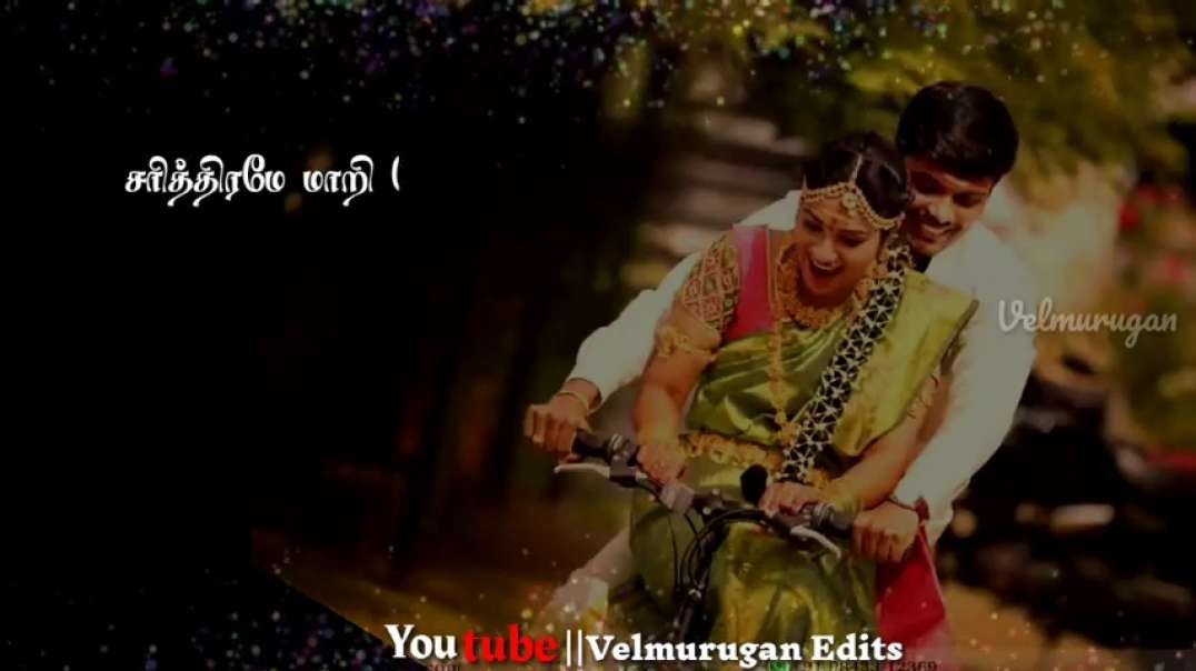 Rekka Katti Parakuthadi - WhatsApp Status  Video Songs Download