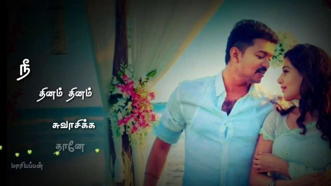 Vijay--Manase manase - Nenjinile song tamil lyrics whatsapp status