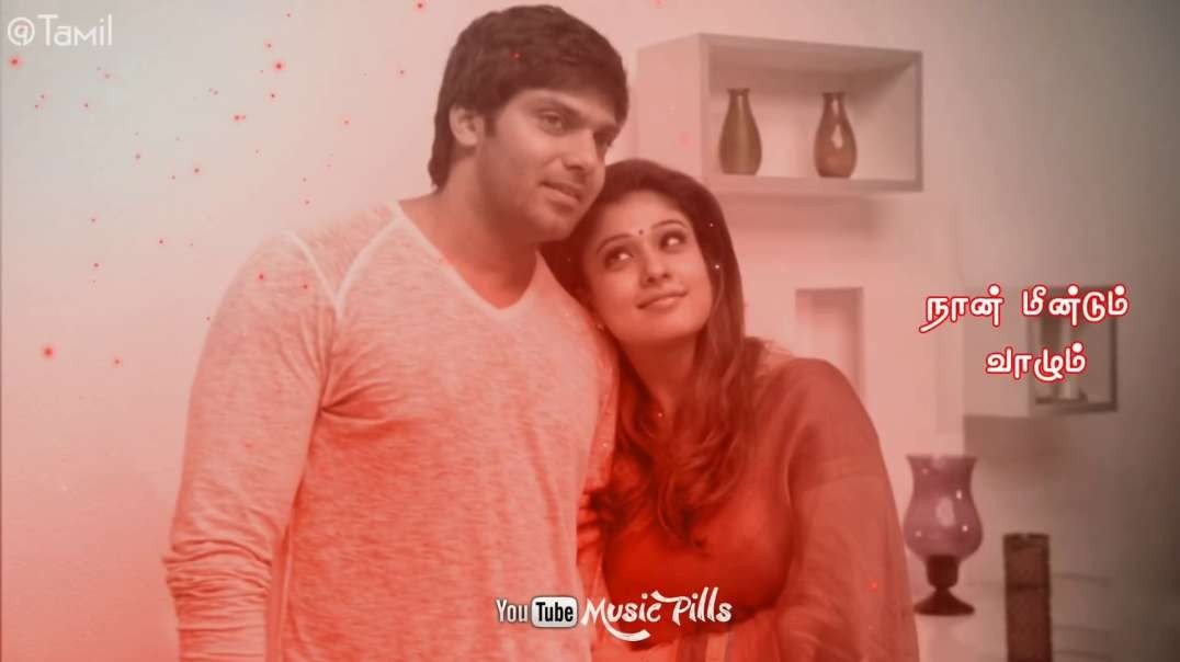 Nee Yaaro Yaaro | Raja Rani | Tamil WhatsApp Status