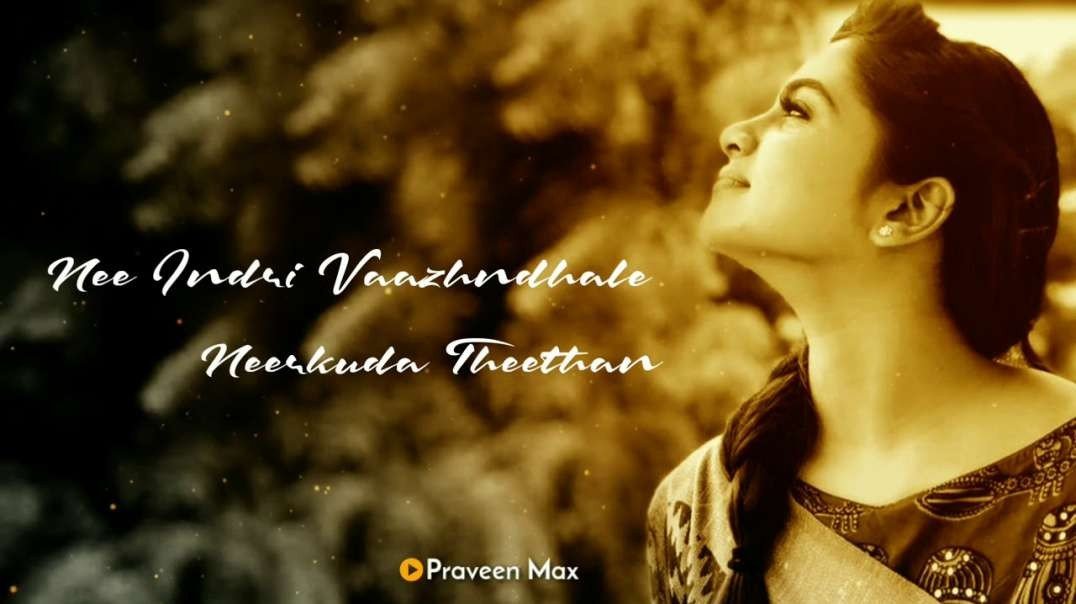 Ennai Kaanavillaiye  | Tamil Female Version  | WhatsApp Status Tamil