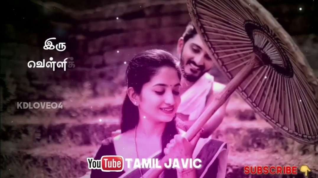 Sevvanthi Poovukum  |Tamil WhatsApp status  |Tamil Status