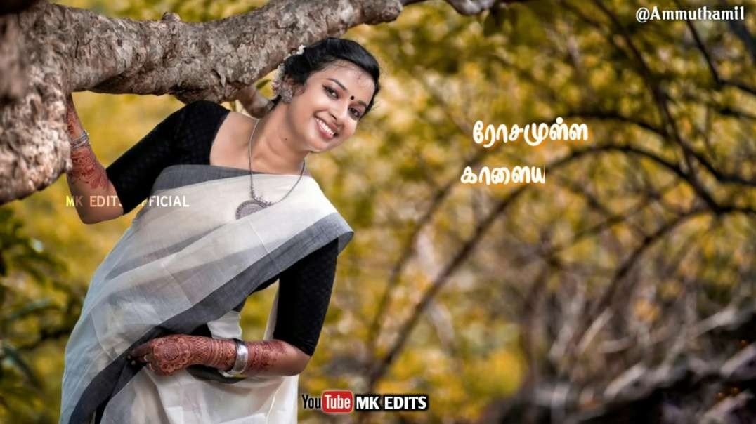 Yei Marikozhunthu Song | WhatsApp Status Tamil | tamil old song status