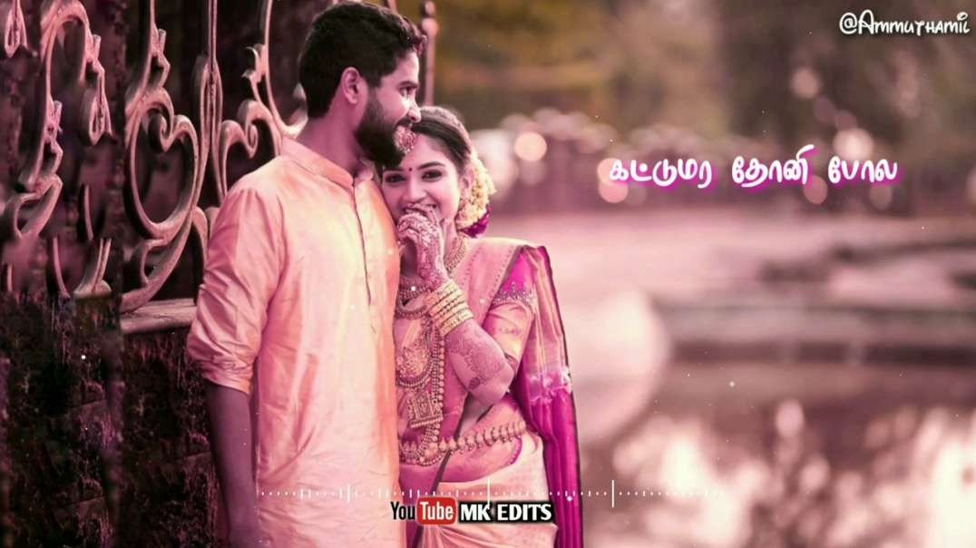 WhatsApp Status ||•Anthiyile Vaanam | Song WhatsApp Status Tamil