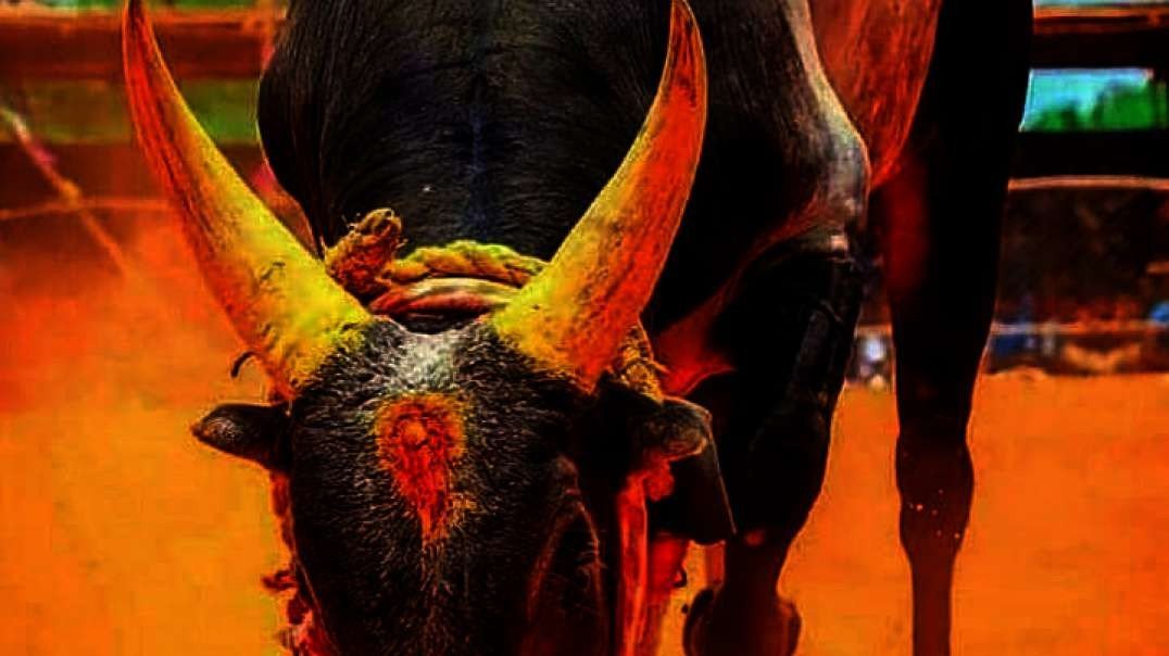 WA-VID-20191022-13ea3928.mp4