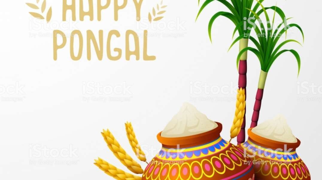 Pongal Whatsapp Status Song | Tamil Whatsapp Status Song for Pongal | Thai Pongal