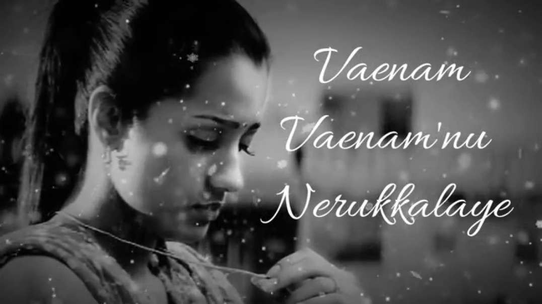 Paakathe Enna Paakathe Song||vaenam|| vaenamnu neaikkalaye lyrics||  tamil WhatsApp status
