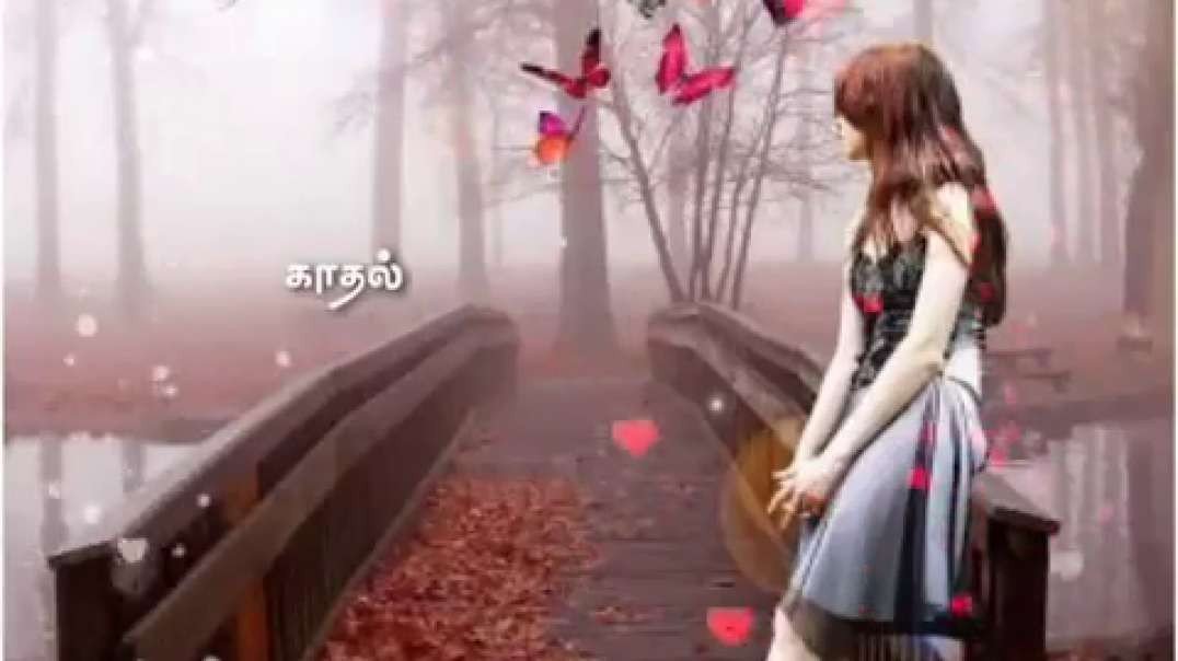 kadhal vanthum sollamal song | Tamil Whatsapp status