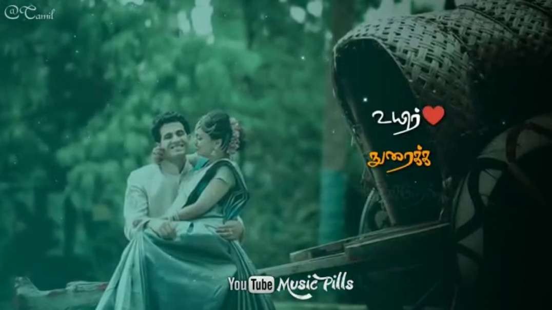 ThaiyathaaThaiyathaa |Thiruttu Payale | Tamil whatsapp status