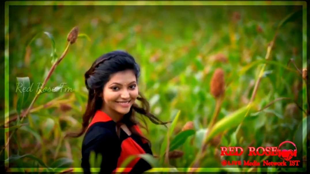 Margazhi Poove Song | Lonely Girls Feeling  |   Whatsapp Status