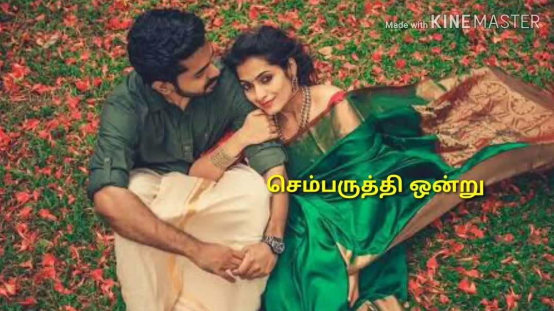 Tamil love songs whatsapp status - Sollava sollava oru kadhal kathai