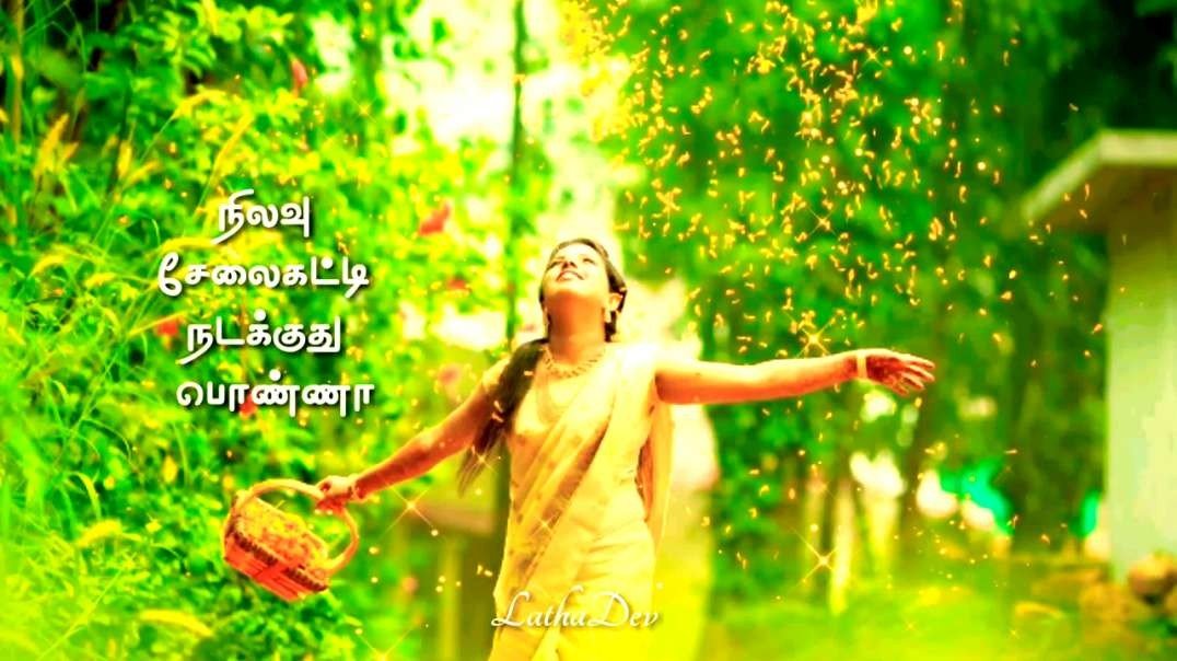 Vaasa Karuveppilaiye | Nilavu Selaikatti Nadakkuthu Ponna | Vijayakanth Tamil Love WhatsApp Status