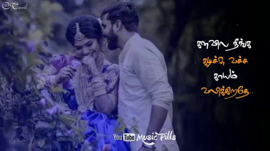 வாடி வாடி நாட்டுக்கட்ட | Alli Thandha Vaanam | Tamil whatsapp status