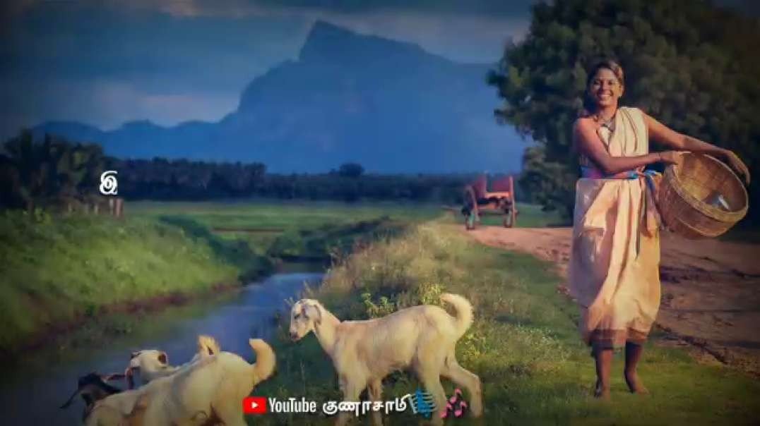 Oyila Padum Pattula Aaduthu Aadu Whatsapp Status