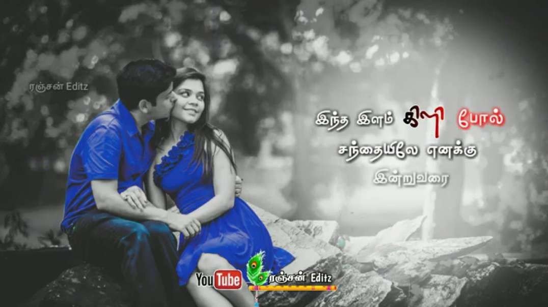 Thottu Thottu Pesum sultana song | whatsapp status Tamil | Ethirum Puthirum | love Whatsapp Status