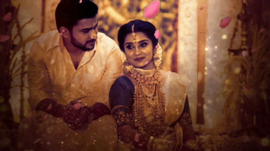 Enakkaka Poranthaye Enathazhagi  | Pannaiyarum Pathminiyum | Tamil Love WhatsApp Status Video