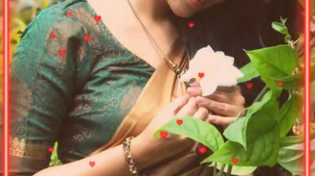 Aalana Naal Mudhalai -- Tamil 90s SongS WhatsApp Status Video