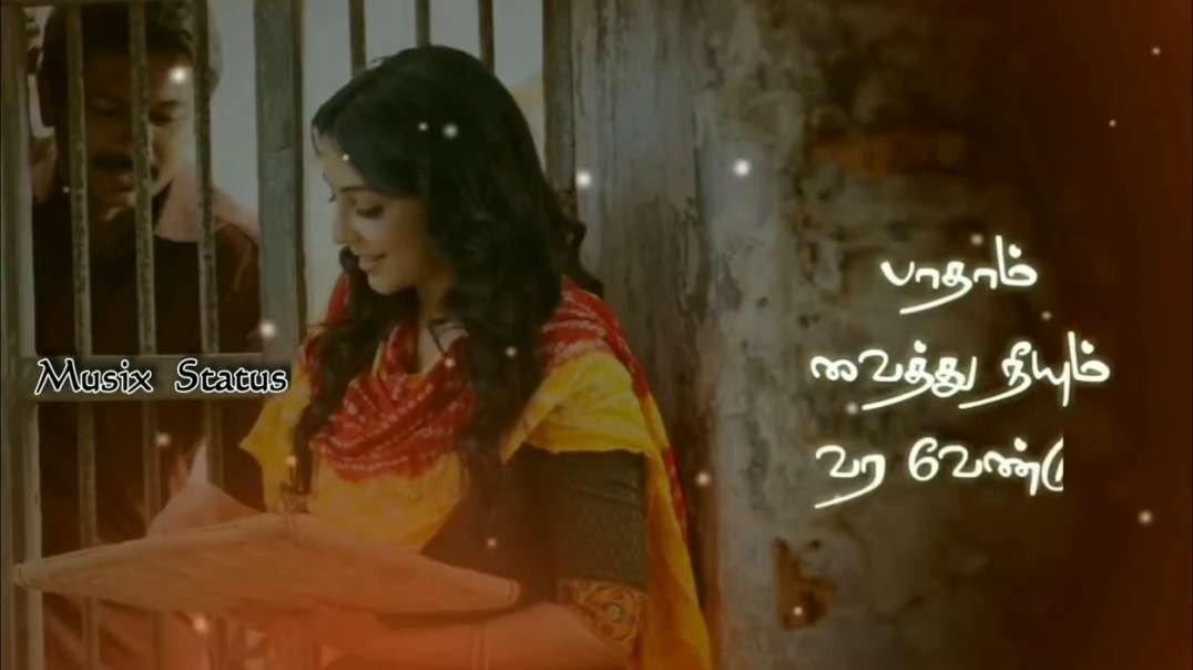 நெஞ்சில் மாமழை | Tamil Couple WhatsApp Status Video