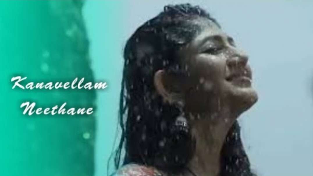 ⁣Kanavellam_Neethane_|_whatsapp_status