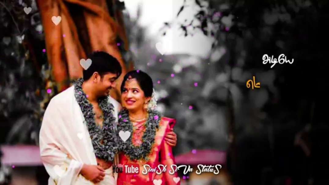 Adiye metti saththam | Salaku salaku song | Whatsapp status Tamil