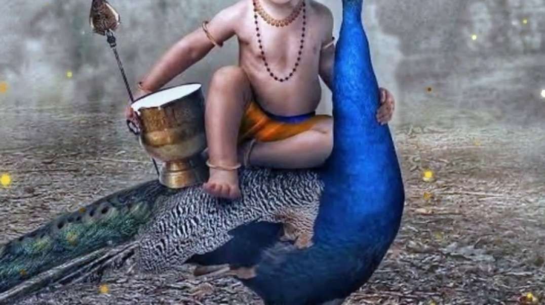 Murugan Whatsapp Status HD Tamil - Lord Murugan Status - God Murugan Status Songs
