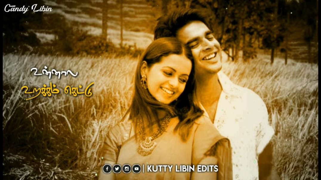 Tamil Melody Song WhatsApp Status Video |  Unmela Aasa Pattu | Cute Love Status video