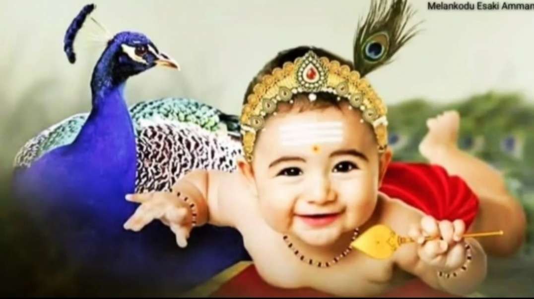 Murugan Whatsapp Status Tamil  || Kantha Sasthi Kavasam Adi Meethu Adi Vaithu