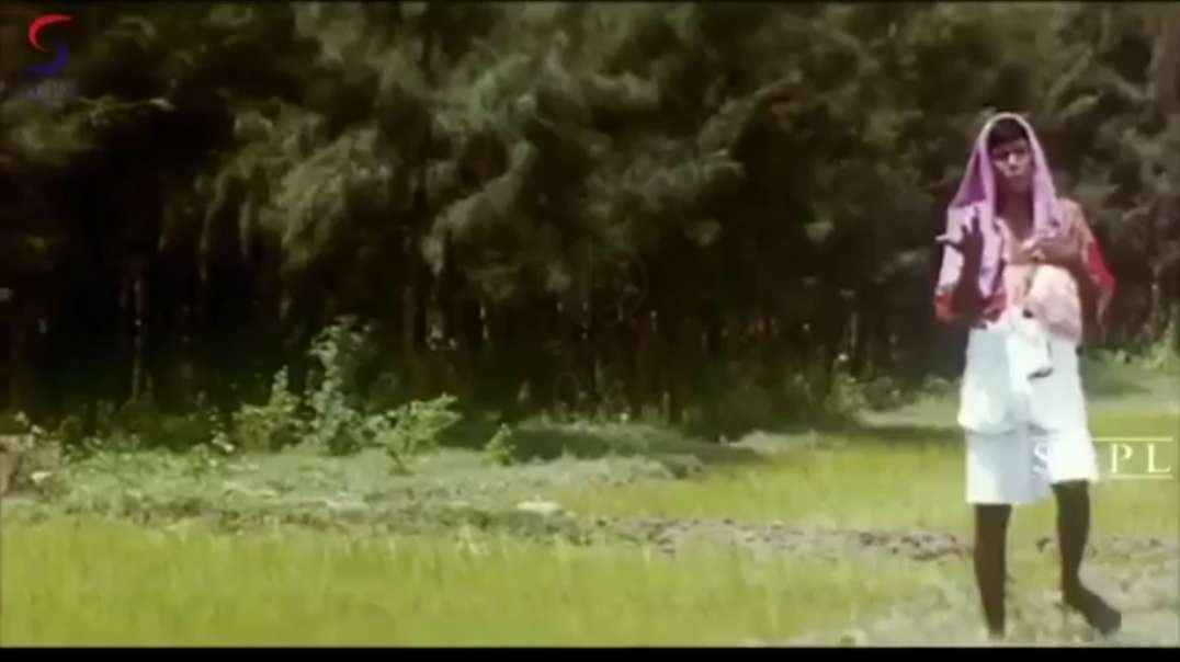 Vadivelu dialogue Status Video