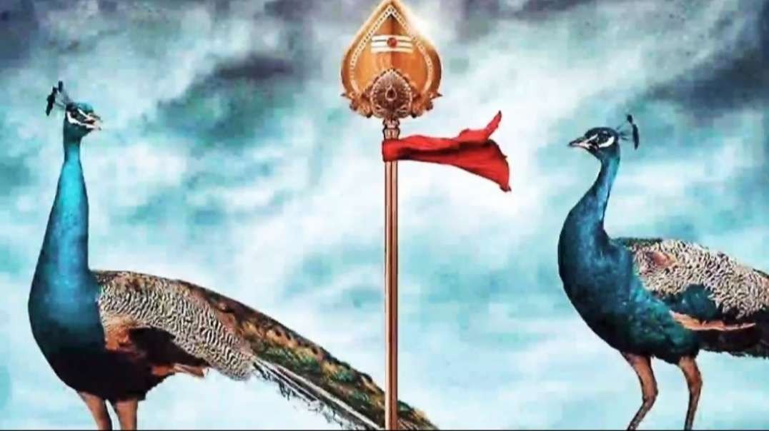 Murugan Whatsapp Status Tamil || Kantha Sasthi Kavasam || Panguni Uthiram Whatsapp Status
