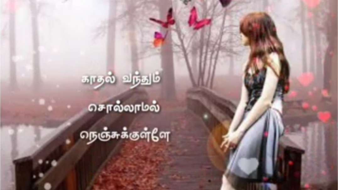 Kadhal  vanthum Sollamal Song Love WhatsApp status  || Tamil love WhatsApp status  || status videos 