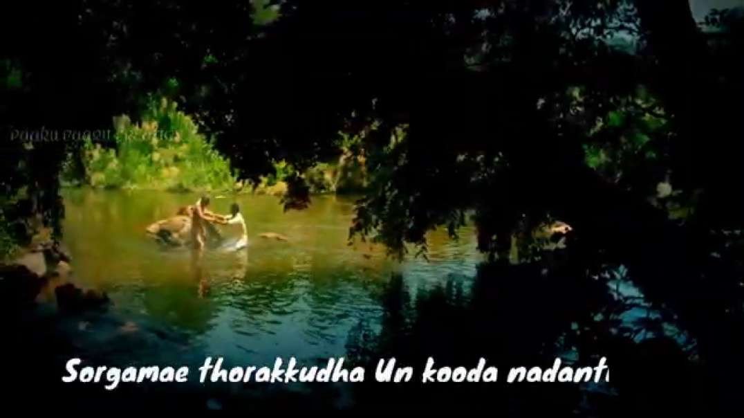 Piriyadha Enna  yaepodhum ne dhan | Pattas love song Whatsapp status | Tamil cut song