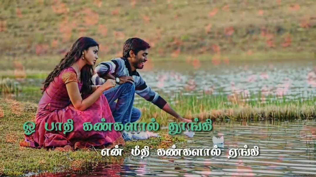 Whatsapp status Tamil video | love song | dhanush song status