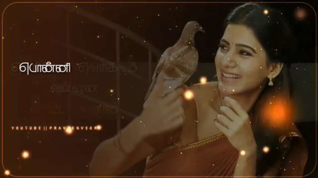 Ennai Thottu Allikonda | WhatsApp Love Status Video Tamil | Ilayaraja song