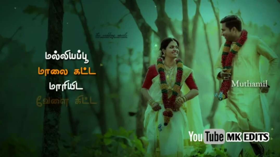 Anthiyile Vaanam Thanthanatho Paadum Song || Tamil love whatsapp status video free download