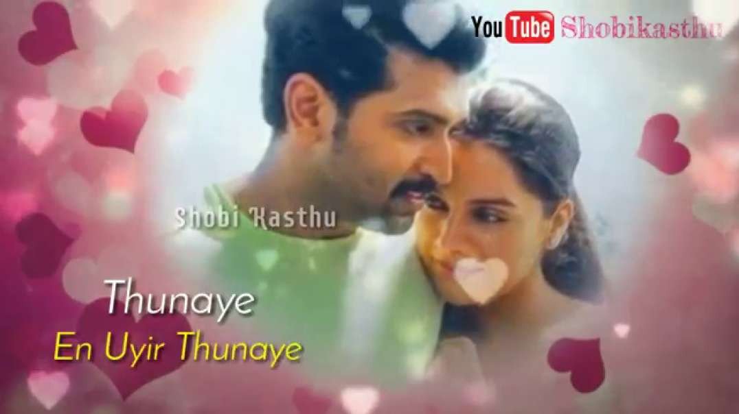 inaye en uyir thunaye | whatsapp status Tamil  | female version