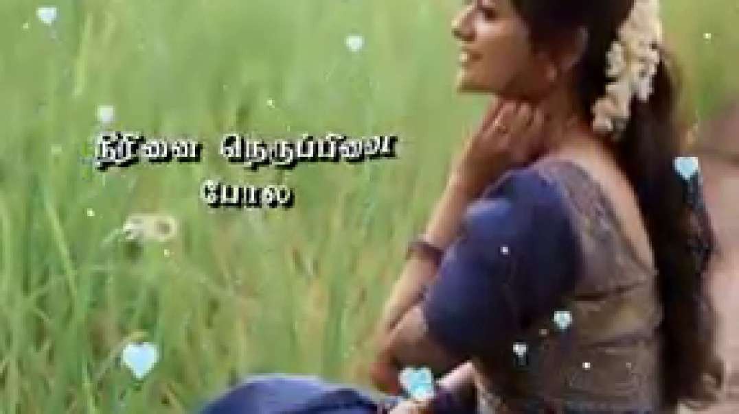 ⁣Ragasiyamaanadhu kaadhal song | WhatsApp status Tamil | female version song status