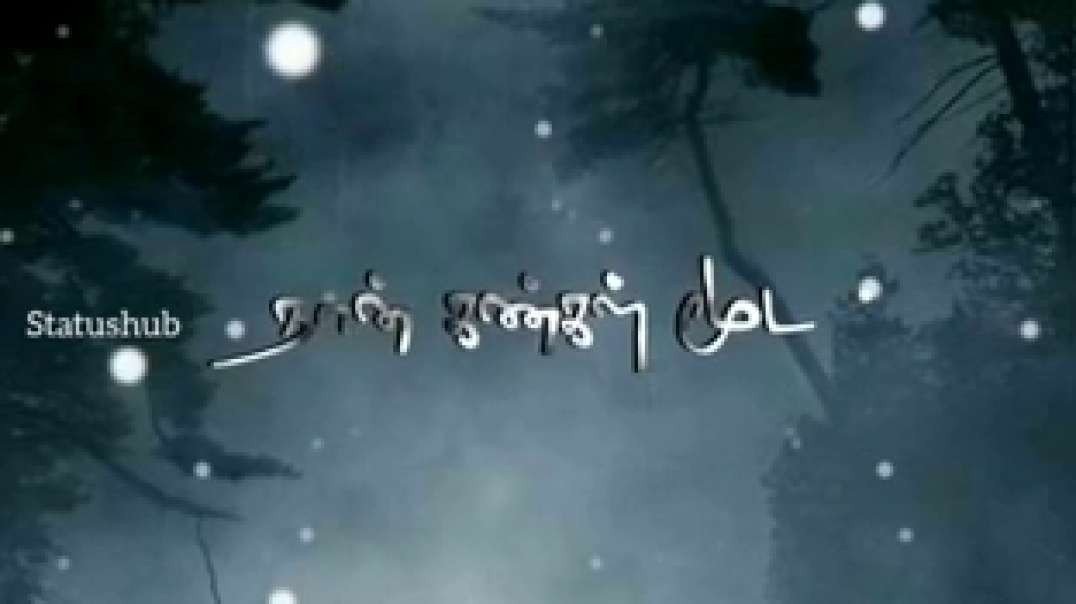 Kannukulle Unnai Vaithen Kannamma song | Tamil love whatsapp status download| middle song status
