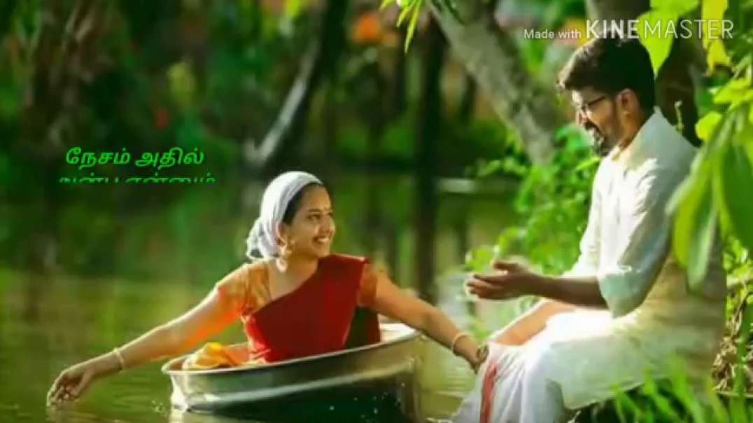 Kaalai nera raagame song | love whatsapp status tamil free download